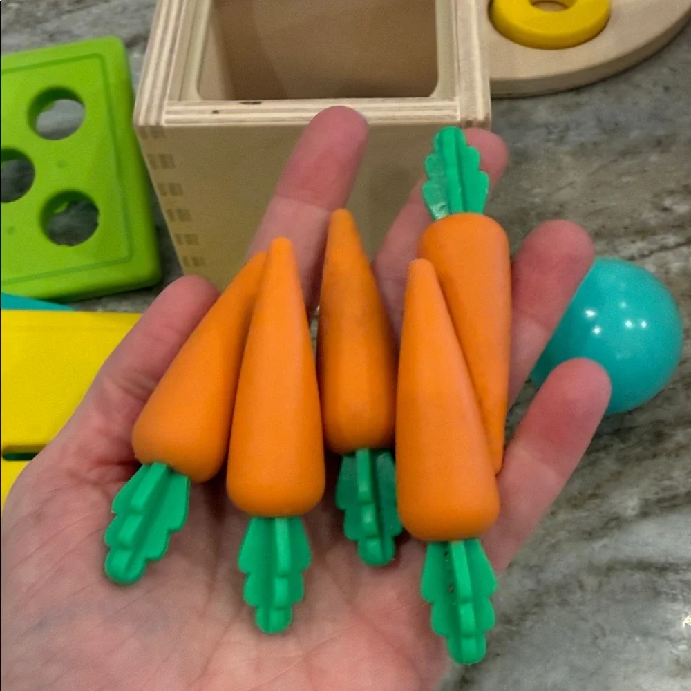 The Babbler Play Kit Lovevery Months 13, 14, and 15 

All original COMPLETE KIT - Picture 9 of 12